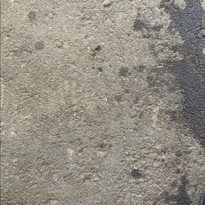 Meet your Posher, Bryana